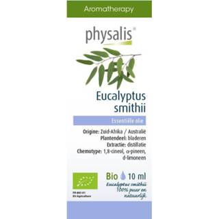 👉 Eucalyptus smithii Physalis 10 ml 5412360016655