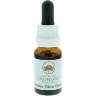 👉 Slender rice flower Australian Bush 15 ml