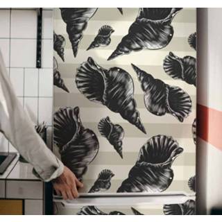 👉 Koelkast nederlands stickers Hand tekenen zeeschelp vintage