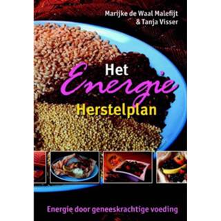 👉 Het Energie Herstelplan 9789063787691