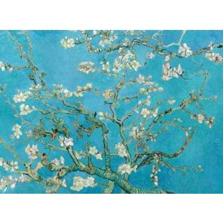 👉 Kunstkaart bloemen Klaas de Jong | Amandelbloesem