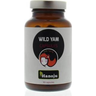 👉 Vcaps Hanoju Wild yams 500 mg 90 8718164783913