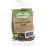 👉 Cranberry rozijnkoek bio Bountiful 250 gram 8718503329109