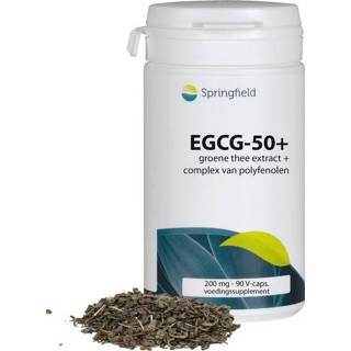 👉 Groene thee fytotherapie vcaps Springfield EGCG 50+ 90 8715216212735