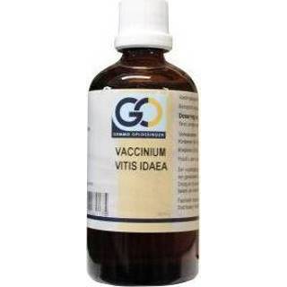 👉 Vaccinum vitis idaea GO 100 ml 8717473082175