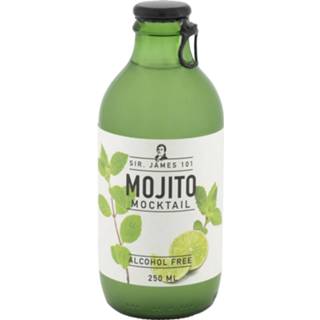 Alcoholvrije mojito HEMA 250 Ml 8716618538867