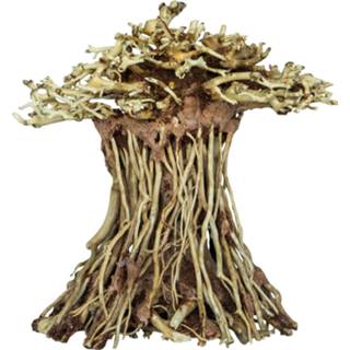 👉 Ornament small Superfish Bonsai Mushroom - Aquarium 8715897313424