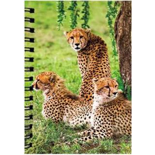 👉 Notitieboek meisjes groen Notitieboekje 3d Cheeta blanco-