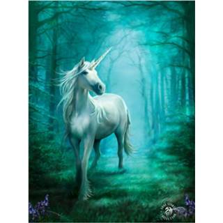 👉 Poster meisjes 3d - Anne Stokes Forrest Unicorn-