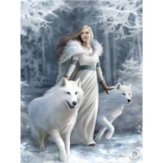 👉 Poster meisjes 3d - Anne Stokes Wolf Winter Guardian-