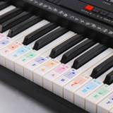 👉 Piano transparent wit Zebra Colorful 61/88 key Electronic Keyboard Note Sticker for White Keys Learner practice