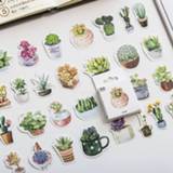 👉 Meisjes Mohamm 50PCS Boxed Stickers Feelings of Succulentsstickers Creative Cute Cartoon Plant Sticker Flakes Scrapbooking Gift Girl Sch