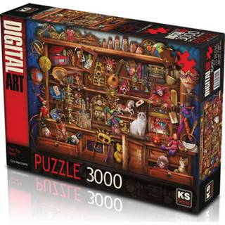 👉 Puzzel The Toy Shelf 3000 Stukjes 8681842230019