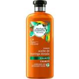 👉 Shampoo Bio Suave Aceite De Moringa Dorada Herbal (400 ml)