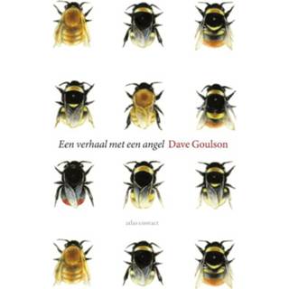 👉 Een verhaal met angel - Dave Goulson (ISBN: 9789045026411) 9789045026411