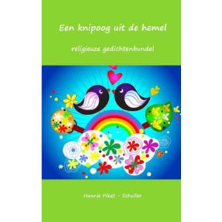 👉 Een knipoog uit de hemel - Boek Hannie Piket - Schuller (9462544697)