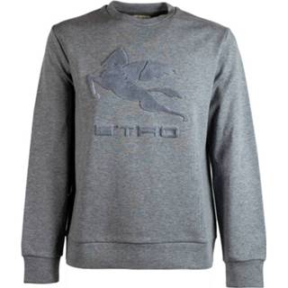 👉 Sweater l male grijs