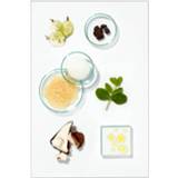 👉 Vrouwen Intensely Gorgeous Bundle 5060102606918