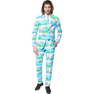 👉 Veren male print Opposuits Flaminguy 8718719275580