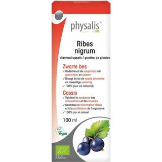 👉 Physalis Ribes nigrum 100 ml 5412360009145