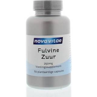 👉 Nova Vitae Fulvinezuur 250 mg 60 capsules 8717473094710