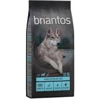 👉 Hondenvoer 1kg Adult Zalm & Aardappel Briantos droog 4062911009752