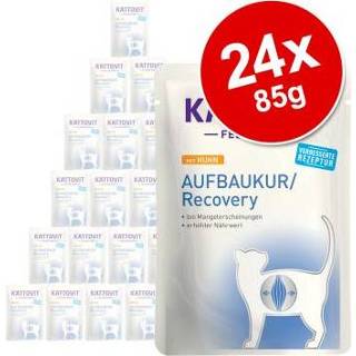 👉 Kattenvoer 24x85g Opbouwkuur Kip Kattovit nat 4000158772510