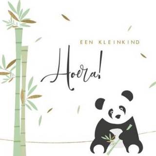 👉 Hoera Greetz | Geboorte kaart Een kleine panda
