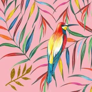 👉 Paperclip tropisch | Zomaar kaart Vogel