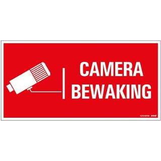 👉 Bord PVC male Pickup Camerabewaking 300x150mm 8711234129796