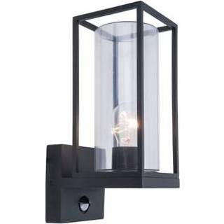 👉 Wandverlichting male Lutec lantaarn met sensor Flair 6939412049991