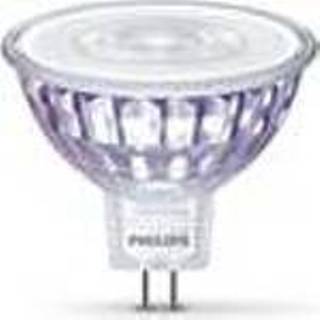 👉 Ledlamp male Philips LED-lamp 5W GU5.3 8718699773991