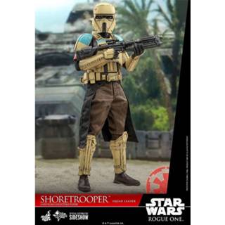 👉 Hot Toys Rogue One: A Star Wars Story Action Figure 1/6 Shoretrooper Squad Leader 30 cm 4895228607256