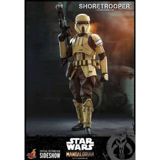👉 Mannen Hot Toys Star Wars The Mandalorian Action Figure 1/6 Shoretrooper 30 cm 4895228607263