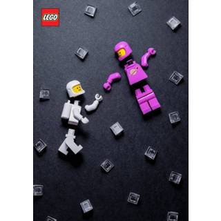 👉 Unisex LEGO Minifigure Journal 9781452181998