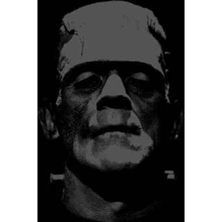 👉 Universal Monsters Frankenstein Black And White T-shirt - Zwart - S - Zwart