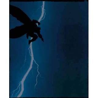 Batman The Dark Knight Returns Cover Women's T-Shirt - Black - 3XL - Zwart