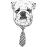 👉 Shirt male wit 3XL XXXL Balazs Solti Suited And Booted Bulldog Men's T-Shirt - White