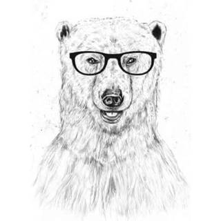 👉 Shirt male 3XL XXXL wit Balazs Solti Polar Bear And Glasses Men's T-Shirt - White