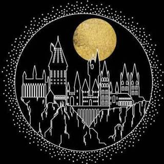 👉 Trui vrouwen zwart XS Harry Potter Hogwarts Castle Moon dames - 5059478918398