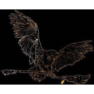 👉 Trui goud s zwart male Harry Potter Hedwig Broom Gold - 5059478910293