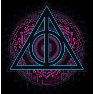 👉 Trui zwart s male Harry Potter Deathly Hallows Neon - 5059478907668