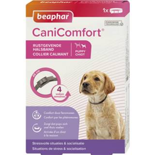 👉 Halsband Beaphar Canicomfort Puppy - Anti stressmiddel 45 cm 8711231176908