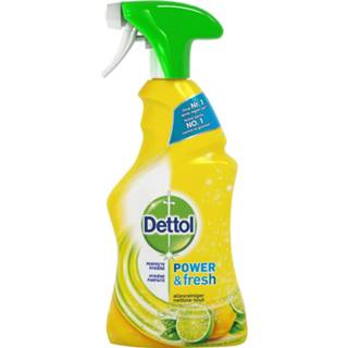 Allesreiniger Dettol Spray Power & Fresh - Citrus 500ml X2 8710552298450