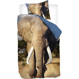 👉 Dekbedovertrek katoen multikleur peuters Snoozing Imani - Peuter (120x150 Cm + 1 Sloop) Multi 8719151094333