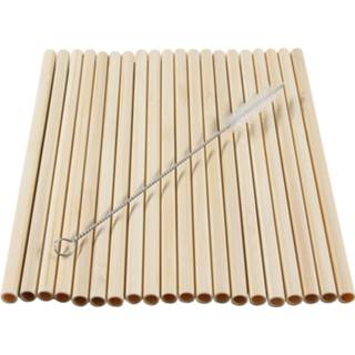 👉 Borstel bamboe 100x rietjes 20 cm met