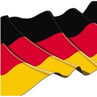 👉 Vlag papier multikleur 40x Stuks Duitse Servetten 33 X Cm - Duitsland Feestartikelen En Tafel Versiering 8720276428026