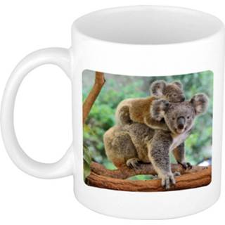 👉 Beker keramiek wit Dieren Koala Foto Mok 300 Ml - Cadeau / Koalaberen Liefhebber 8720276777629