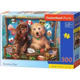 Puzzel dieren legpuzzels Stowaway Pups (300 stukjes) 5904438030422