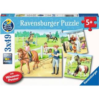 👉 Puzzel kinderpuzzels mannen Een Dag op de Manege (3 x 49 stukjes) 4005556051298